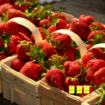 Coltivare le fragole in casa